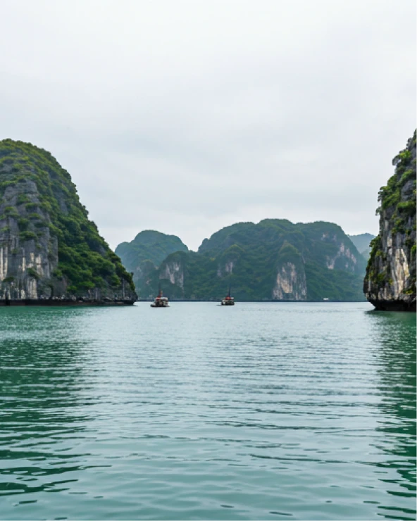 Ký hoạ Vịnh Hạ Long